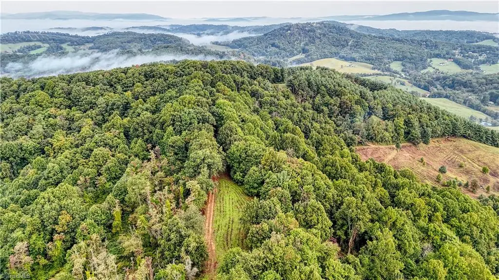 00 Lot 24 New Hope Church Road, Laurel Springs, NC 28644 - #1