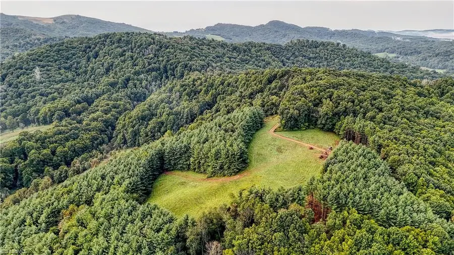 00 Lot 24 New Hope Church Road, Laurel Springs, NC 28644 - #3