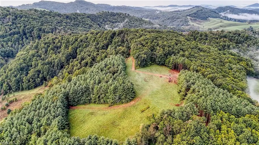 00 Lot 25 New Hope Church Road, Laurel Springs, NC 28644 - #3