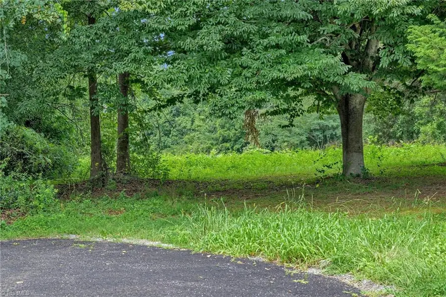 TBD Governor Stokes Road, Wilkesboro, NC 28697 - #2