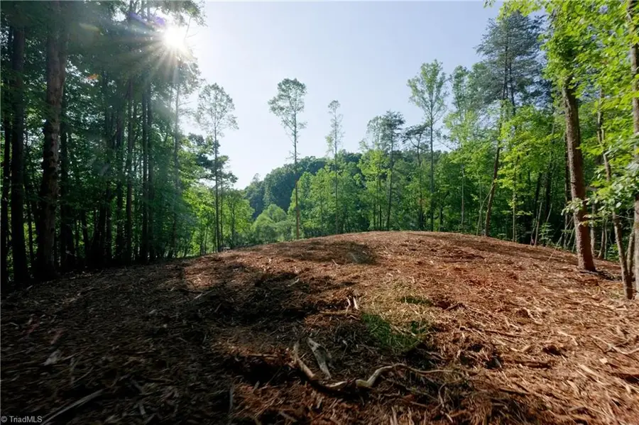 8 Old Mill Road, Pinnacle, NC 27043 - #3