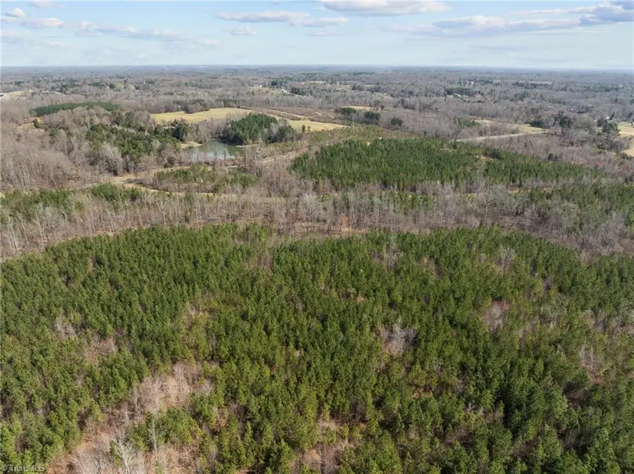 2630 Minden Road, Pleasant Garden, NC 27313 - #2