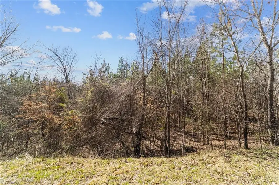 2638 Minden Road, Pleasant Garden, NC 27313 - #2