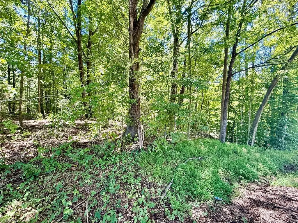 384 Riverview Lane, Lexington, NC 27292 - #1