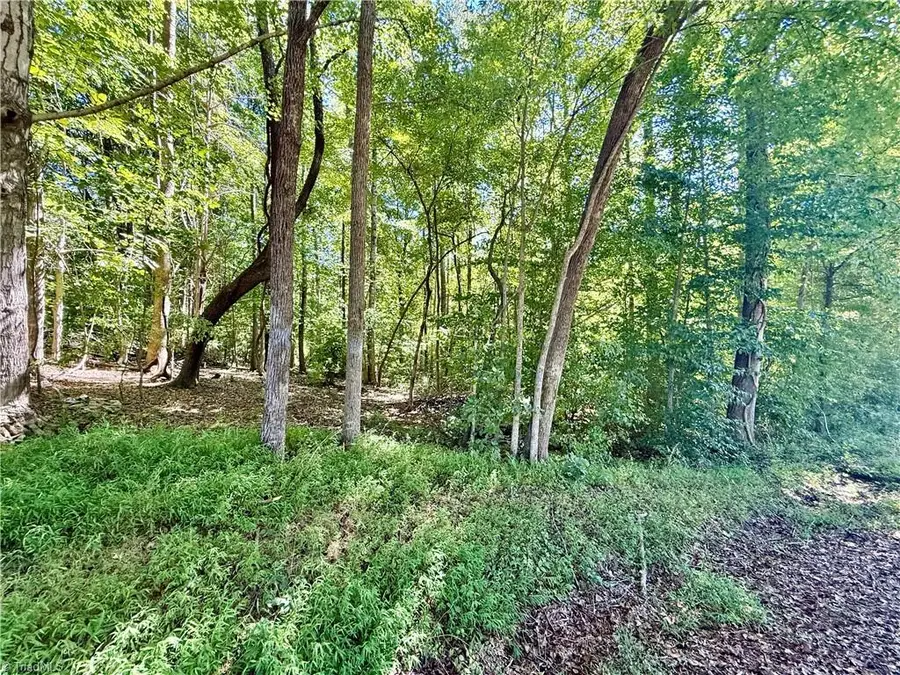 384 Riverview Lane, Lexington, NC 27292 - #3