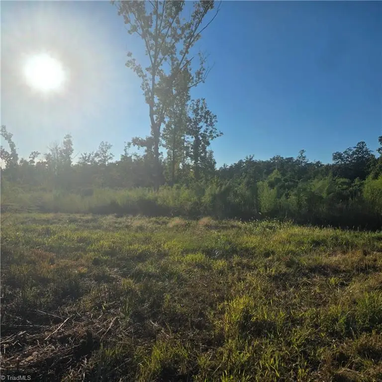 3655 Mack Lineberry Road, Franklinville, NC 27248 - #3