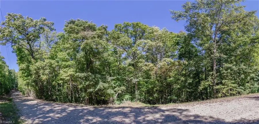 00 Sutters Ridge Road, McGrady, NC 28649 - #2
