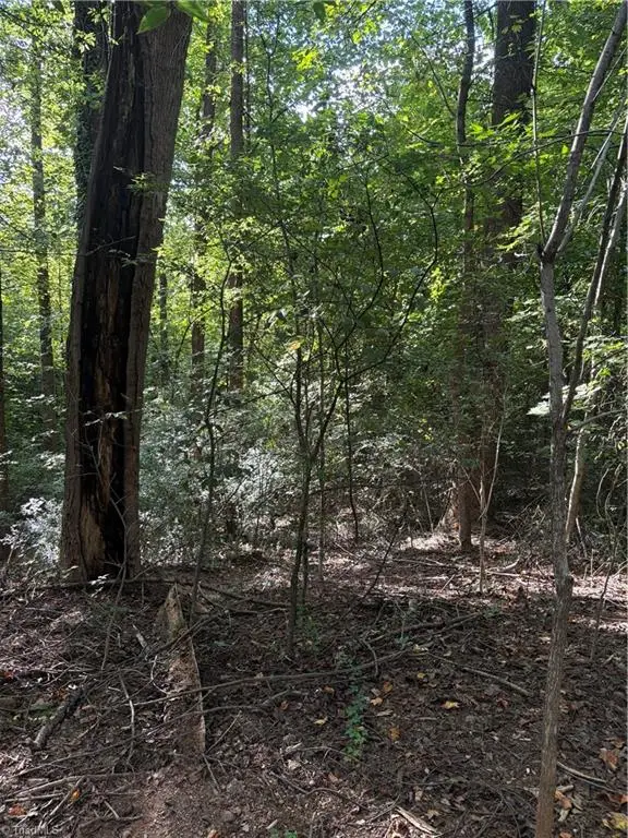 00 Woodland Boulevard, Wilkesboro, NC 28697 - #2