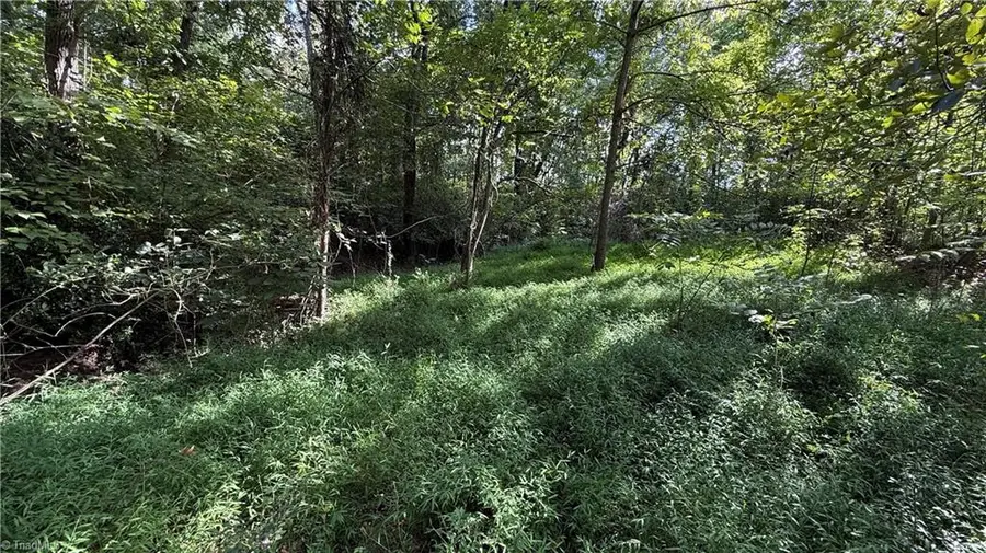 0 Lonita Street, Archdale, NC 27263 - #3