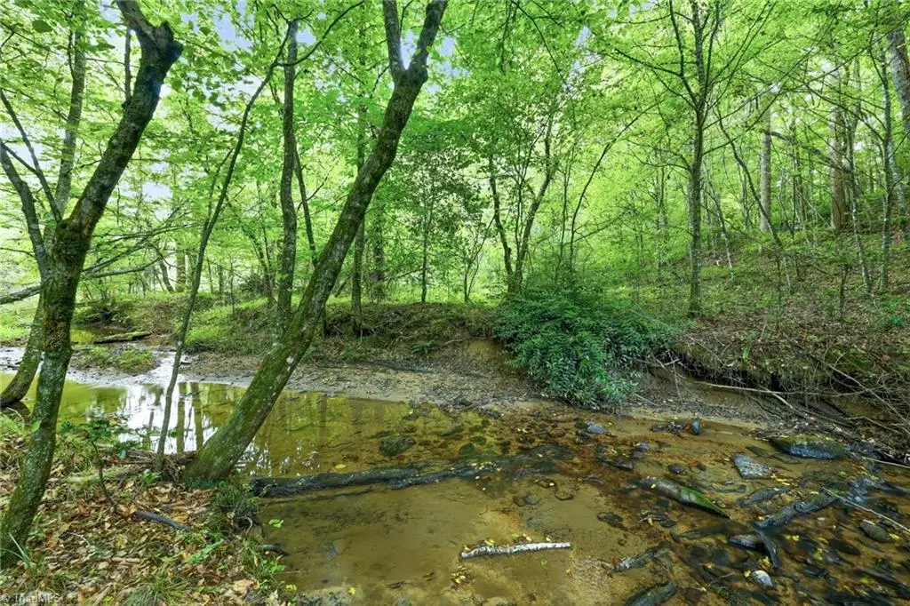 834 Germantown Road, Wilkesboro, NC 28697 - #1