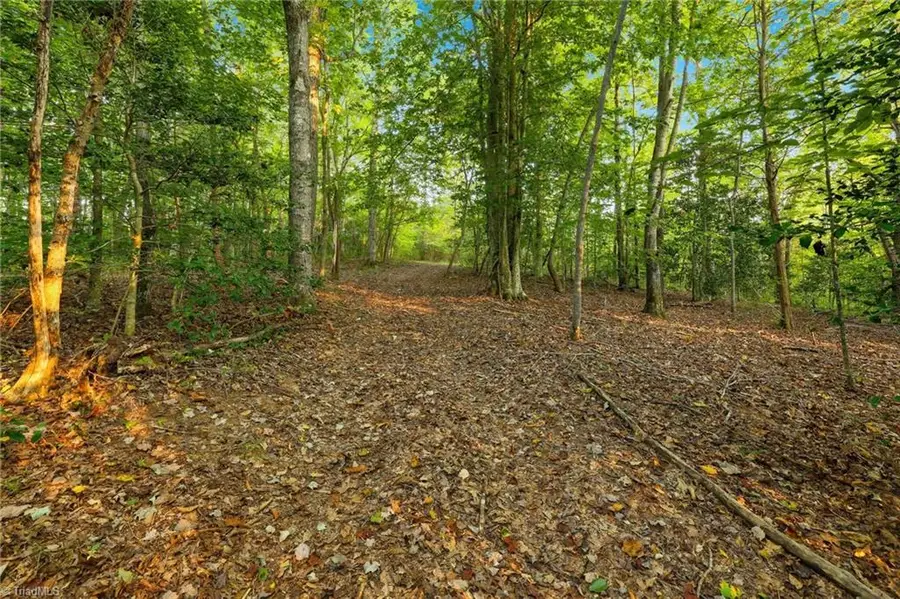 834 Germantown Road, Wilkesboro, NC 28697 - #2