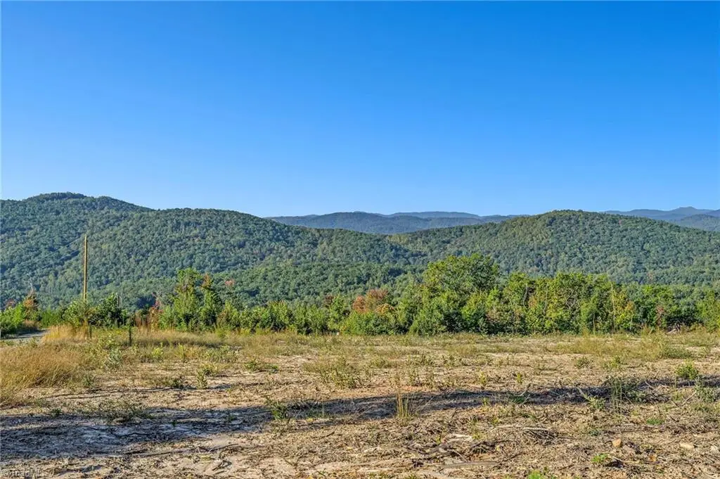 Tract 99 Widow Mountain Drive, McGrady, NC 28649 - #1