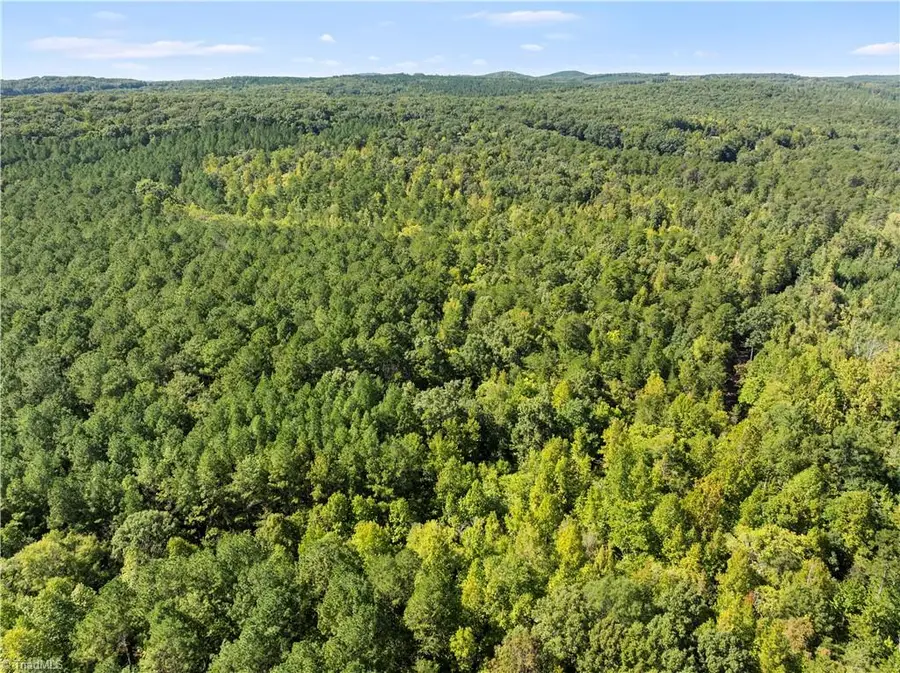 00 New Hope Road, Denton, NC 27239 - #2