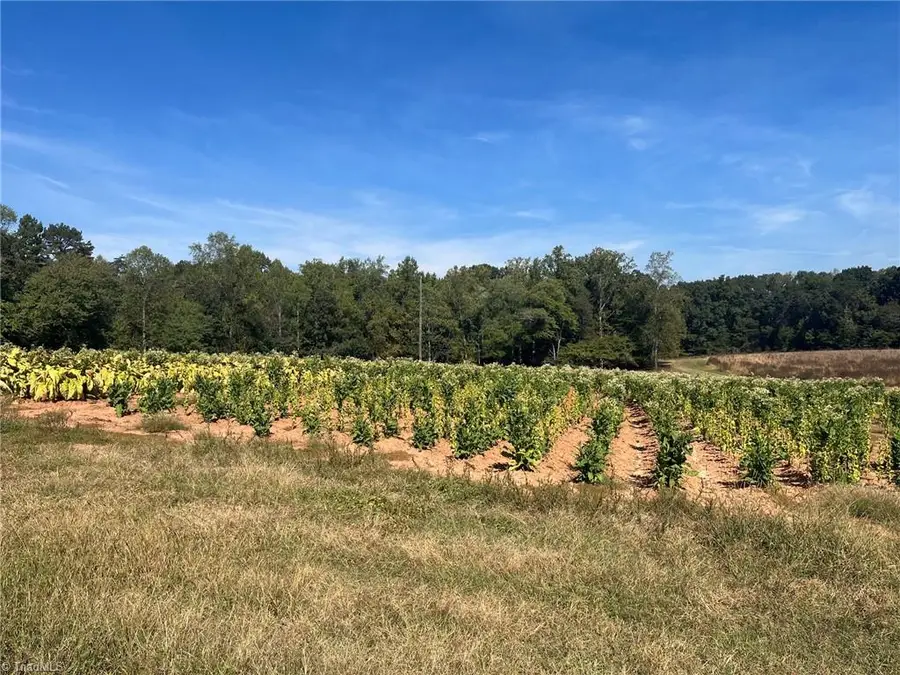 1300 Charity Church Road, Boonville, NC 27011 - #3