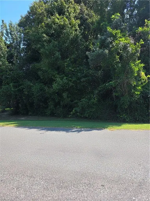 125 Pickett Drive, Lexington, NC 27295 - #2