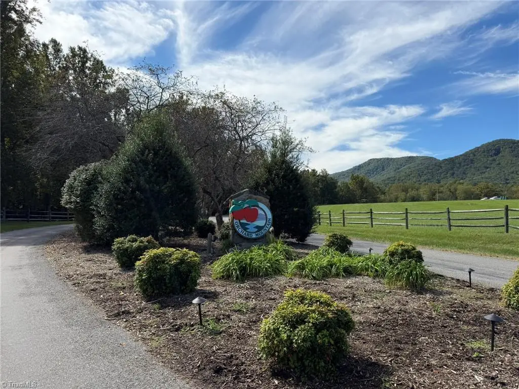 Lot 60 Jonathan Drive, Lowgap, NC 27024 - #1