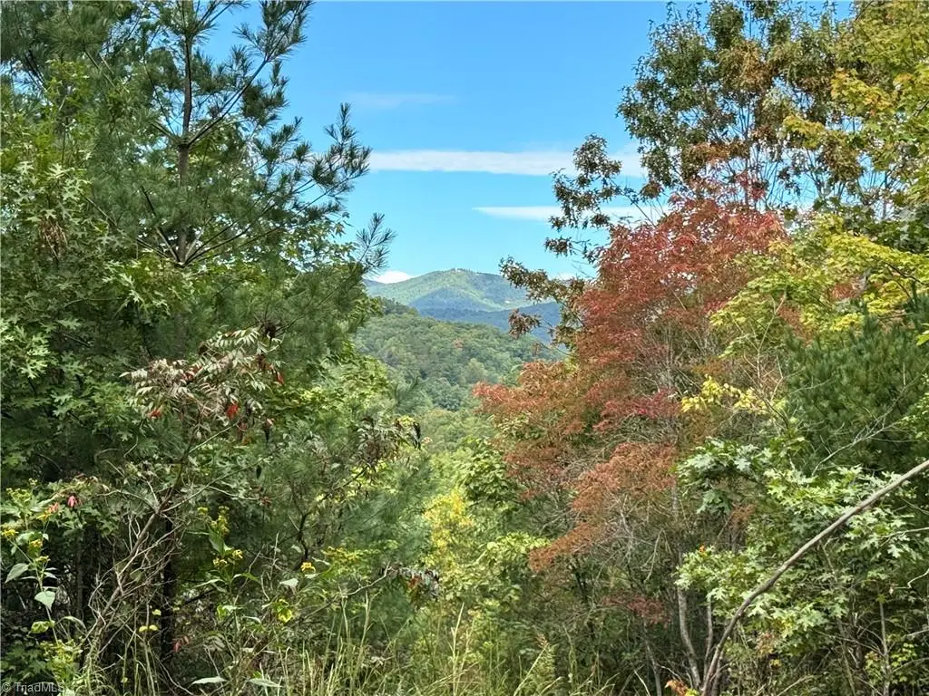 01 Cane Creek Church Road, McGrady, NC 28649 - #1
