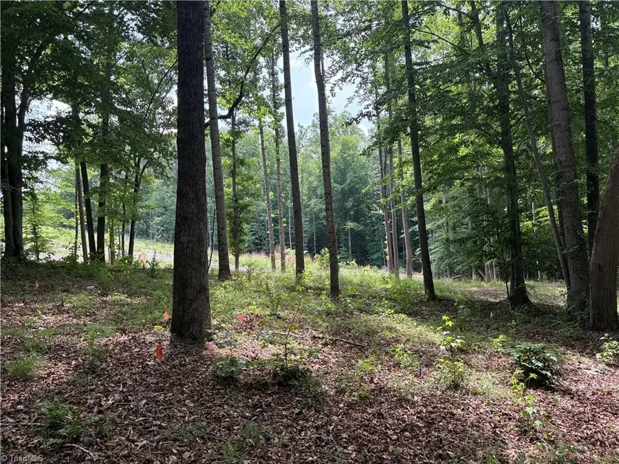 6455 Reubens Ridge Drive, Winston Salem, NC 27105 - #2