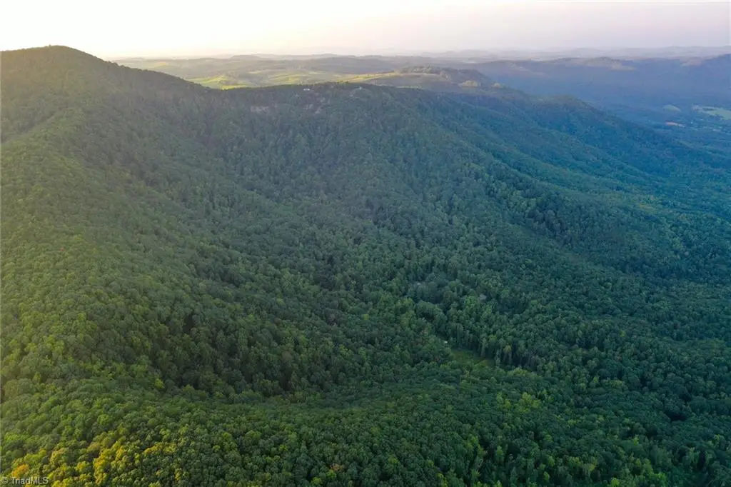 671 Ramey Orchard Road, Lowgap, NC 27024 - #1