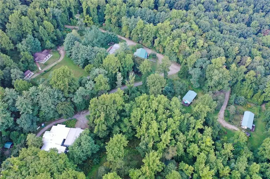 671 Ramey Orchard Road, Lowgap, NC 27024 - #2