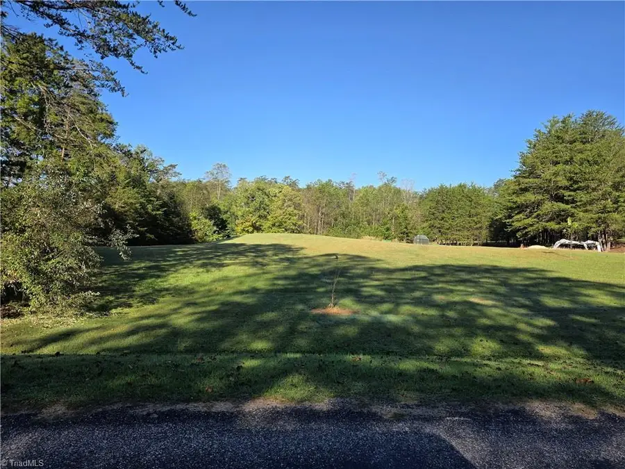 1198 Jackson Road #1, Westfield, NC 27053 - #3
