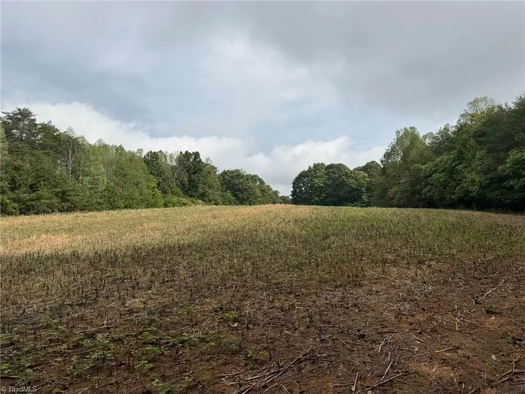 6700 Lot 25+/- Acres Doral Drive, Tobaccoville, NC 27050 - #1