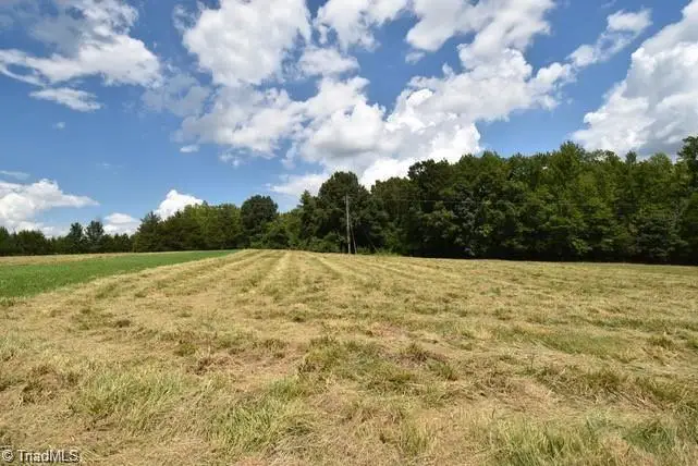 00 Garner Road, Snow Camp, NC 27349 - #3