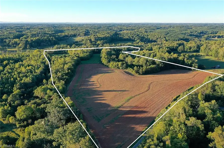 61.8 Acres Spearman Road, Reidsville, NC 27320 - #2
