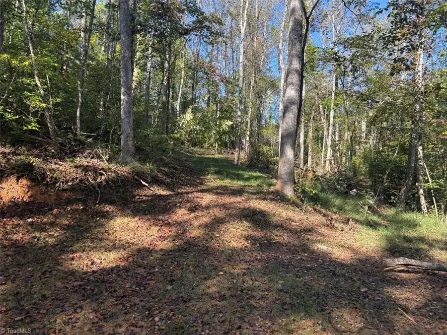 000 Quaker Road, Mount Airy, NC 27030 - #2