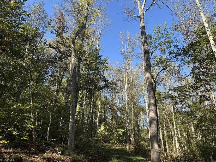 000 Quaker Road, Mount Airy, NC 27030 - #3