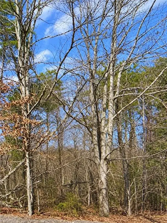 Lt 11 Lynn Smith Road, Semora, NC 27343 - #3