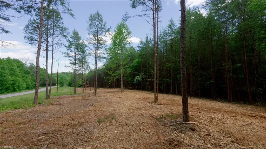 1734 Shiloh Church Road, Rural Hall, NC 27045 - #1