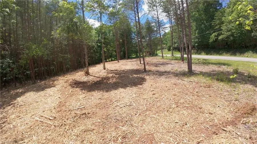 1734 Shiloh Church Road, Rural Hall, NC 27045 - #3