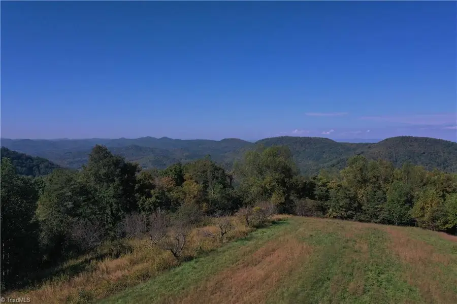 000 Treadway Road, Moravian Falls, NC 28654 - #2