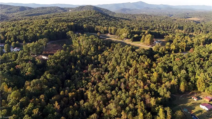TBD Angel Fire Trail, Dobson, NC 27017 - #2
