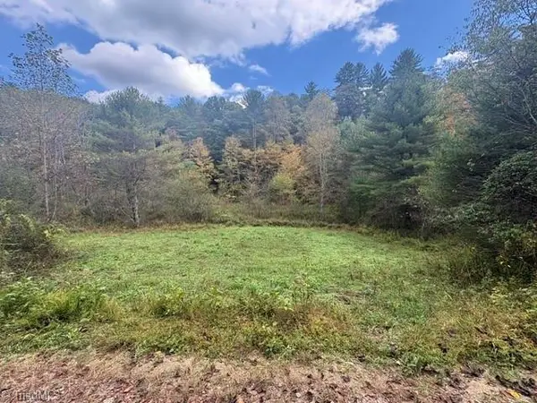TBD Caseys Branch Road, Purlear, NC 28665