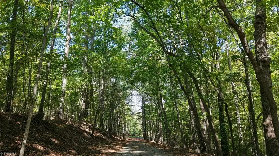 TBD Woodland Drive, Elkin, NC 28621 - #2