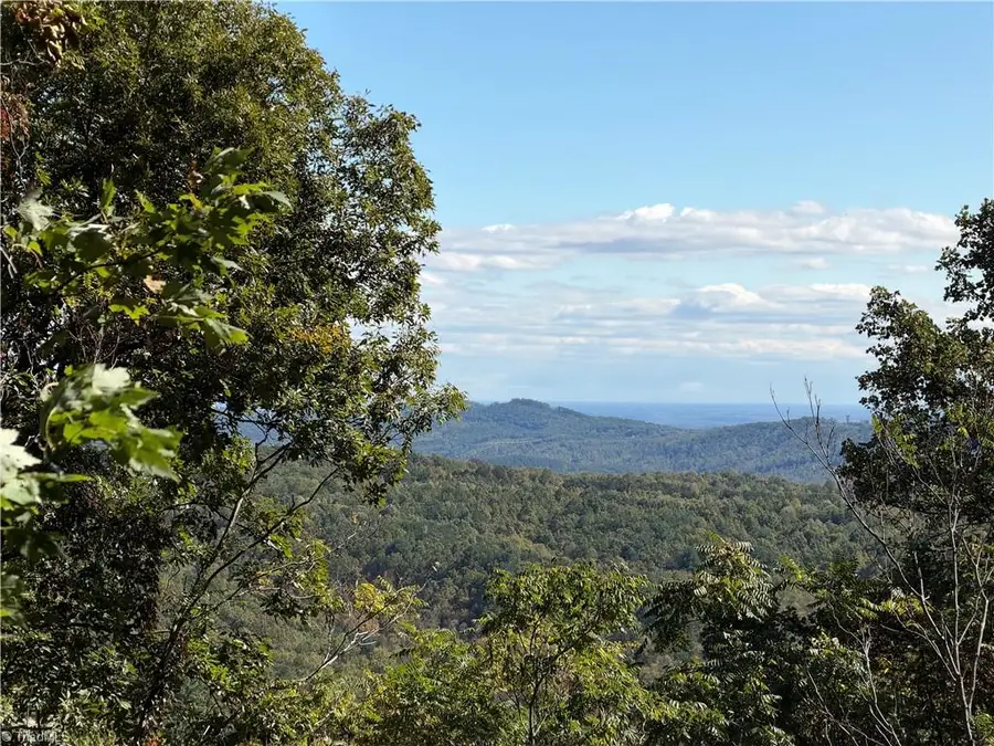 TBD Vannoy Ridge Road, Moravian Falls, NC 28654 - #2