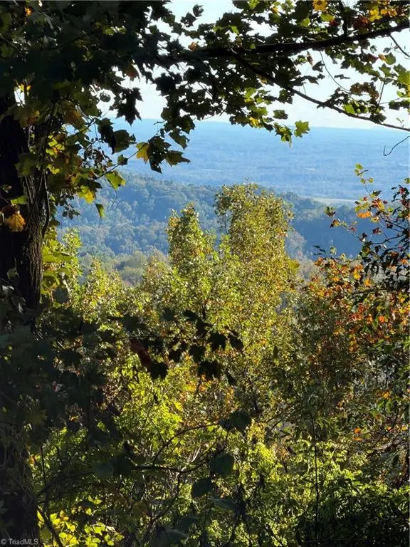 TBD Vannoy Ridge Road, Moravian Falls, NC 28654 - #3