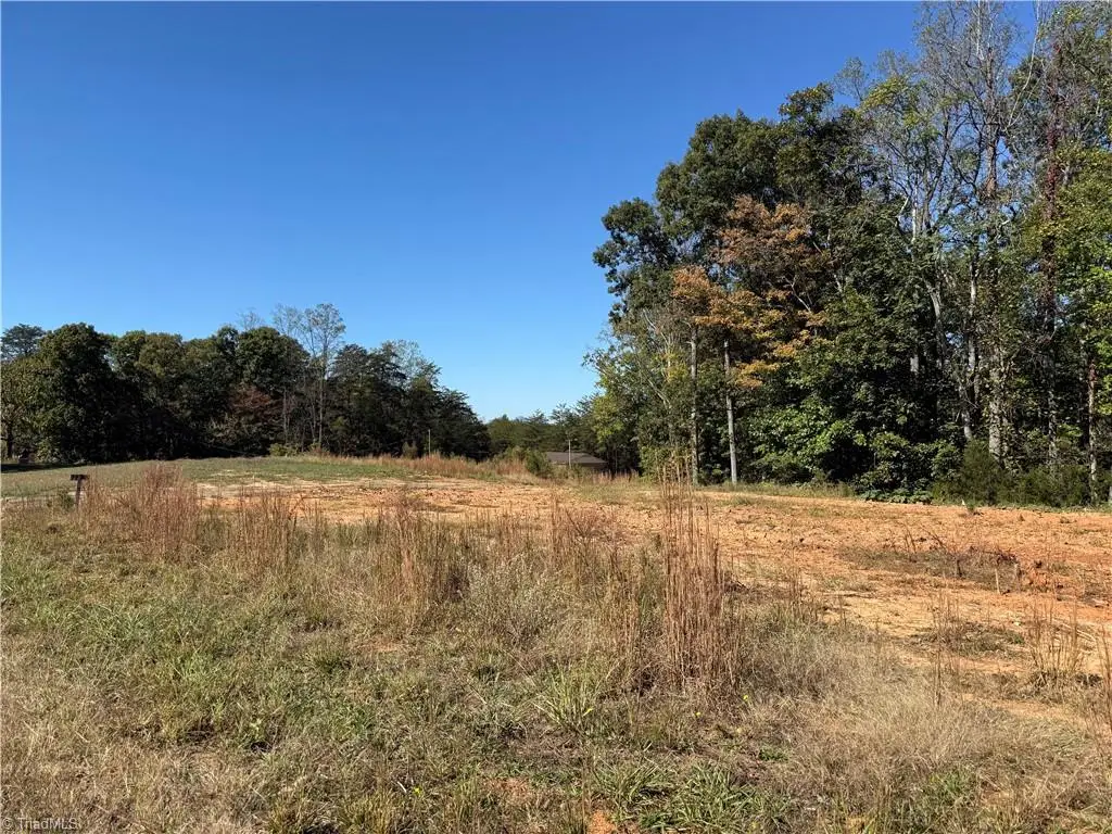 1130 Stokes Grading Drive, Germanton, NC 27019 - #1