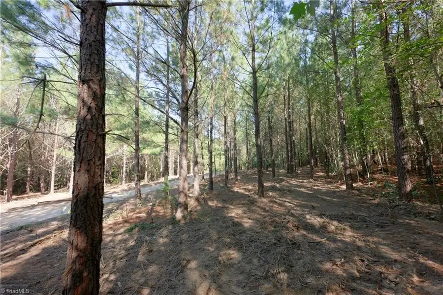16 Morrison Road, Morganton, NC 28655 - #3