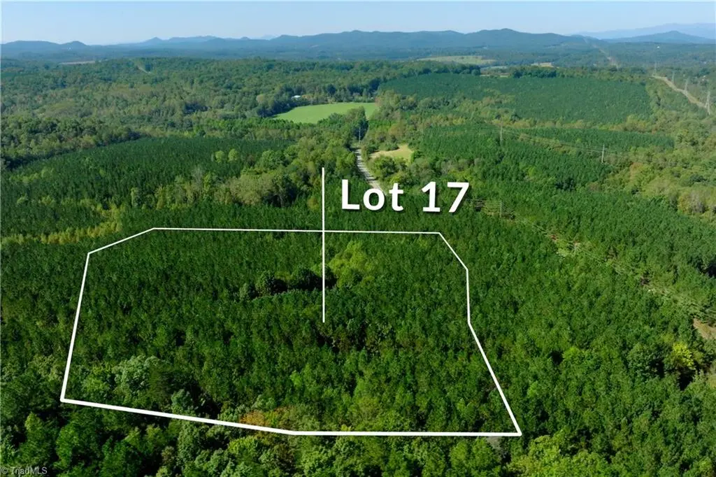17 Morrison Road, Morganton, NC 28655 - #1