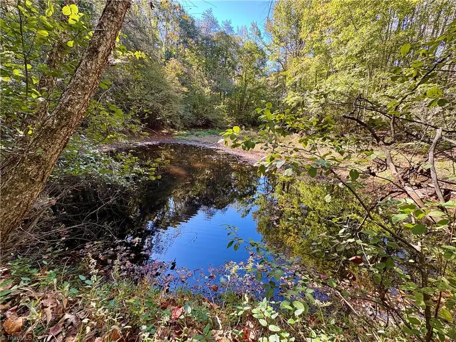 3821 View Lane, Yadkinville, NC 27055 - #2