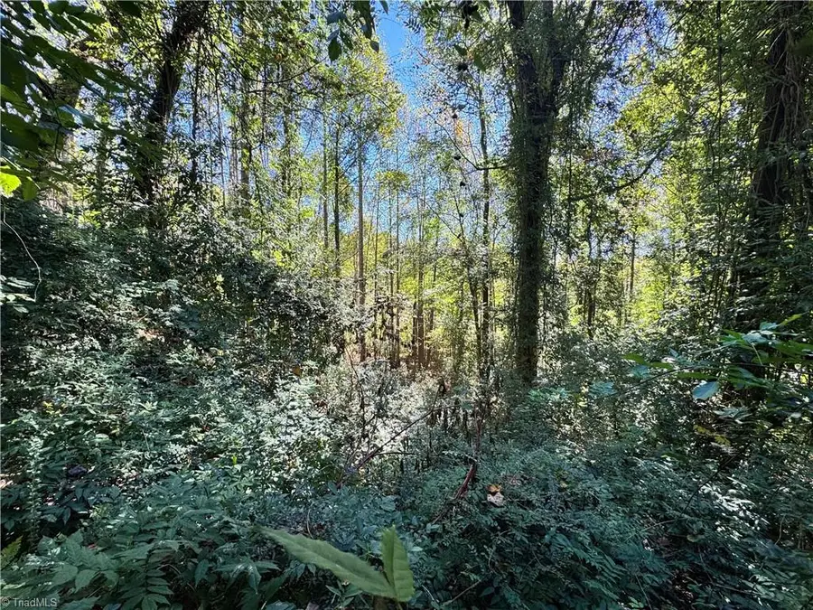 431 E Pleasant Hill Drive, Elkin, NC 28621 - #3