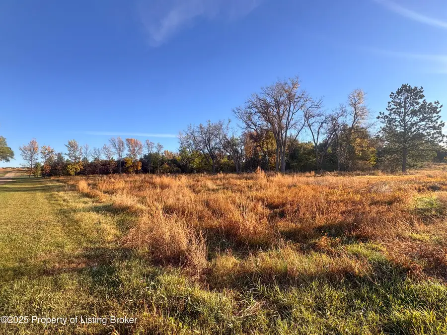 21st Street, Dickinson, ND 58601 - #2