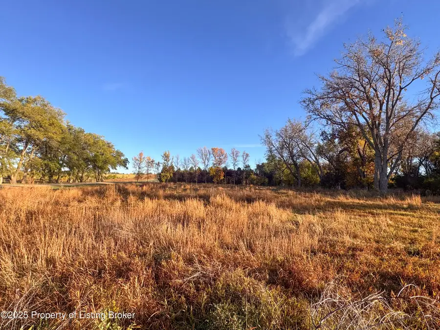 21st Street, Dickinson, ND 58601 - #3