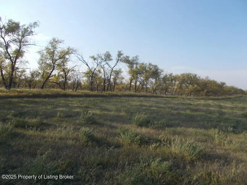 3287 82w Avenue, Richardton, ND 58652 - #1