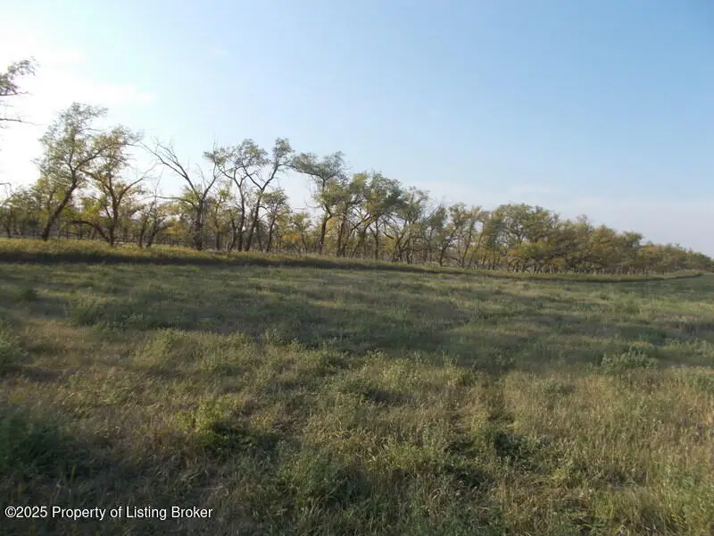 3287 82w Avenue, Richardton, ND 58652 - #2