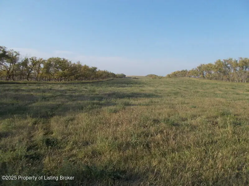 3287 82w Avenue, Richardton, ND 58652 - #3