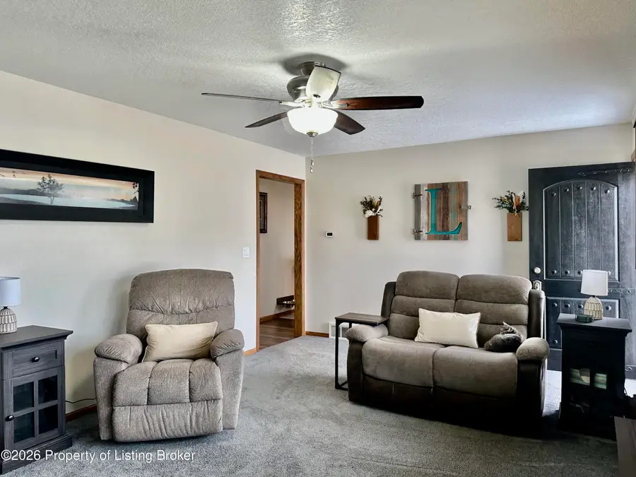 966 Cherry Avenue, Dickinson, ND 58601 - #3